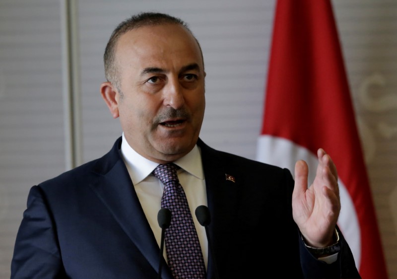 © Reuters. FILE PHOTO - Turkish Foreign Minister Mevlut Cavusoglu gives a speech to the media at the foreign ministry building (SRE) in Mexico City