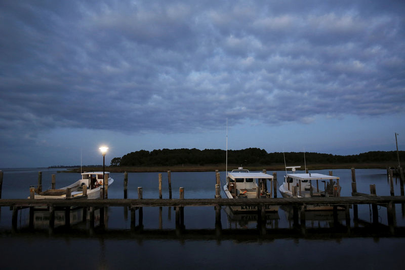 © Reuters. FILE PHOTO --  Crab boats are moored at the dock at dawn on Hooper's Island