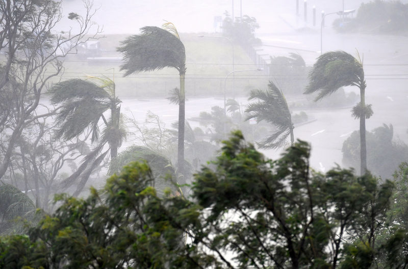 © Reuters. Ventos fortes do ciclone Debbie atinge árvores de Airlie Beach, na Austrália