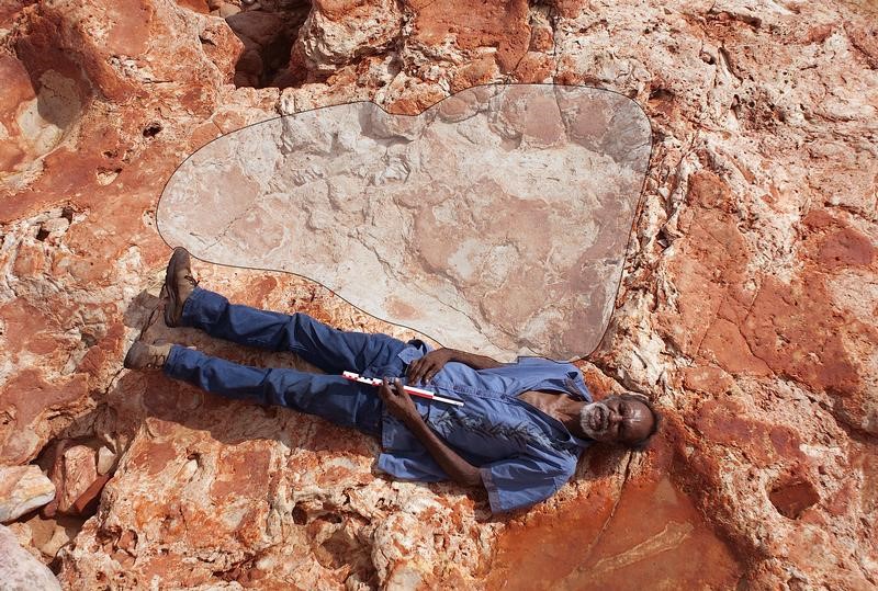 © Reuters. علماء استراليون يعثرون على أكبر أثر لقدم ديناصور في العالم