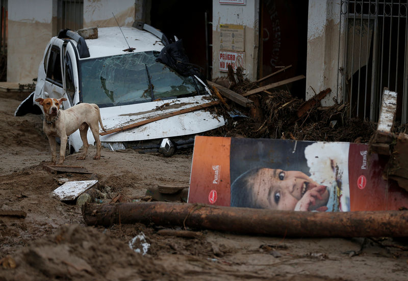 © Reuters. A dog is seen on a street destroyed after flooding and mudslides caused by heavy rains leading several rivers to overflow, pushing sediment and rocks into buildings and roads in Mocoa