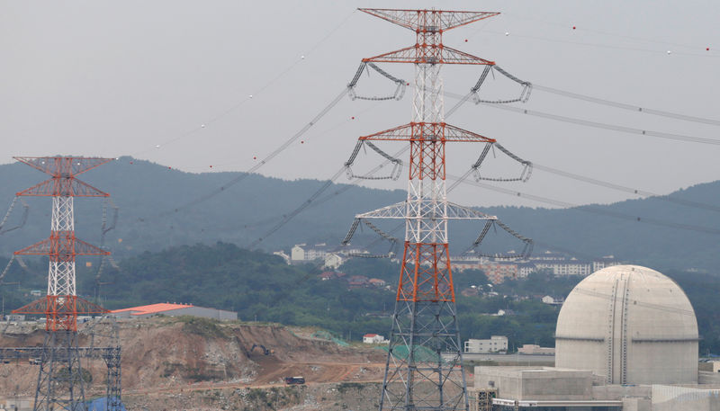 © Reuters. FILE PHOTO: The new Shin Kori No. 4 reactor of state-run utility Korea Electric Power Corp (KEPCO) is seen in Ulsan