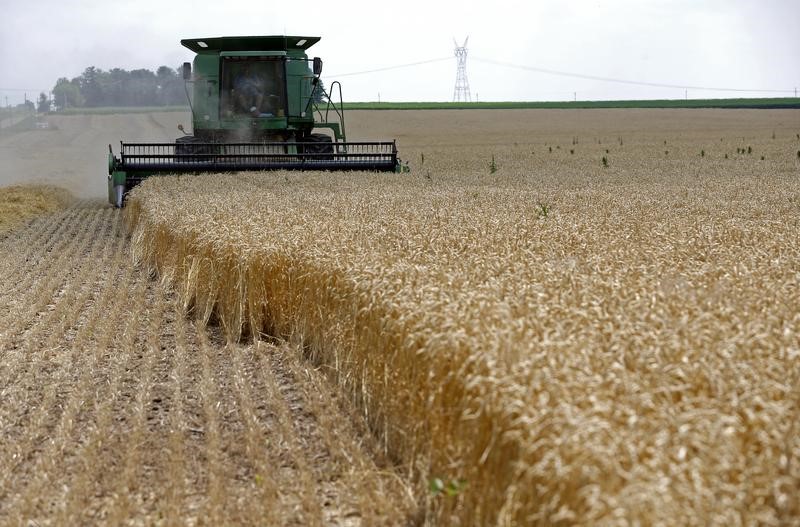 © Reuters. A combine drives over stalks of soft red winter wheat during the harvest on a farm in Dixon, Illinois