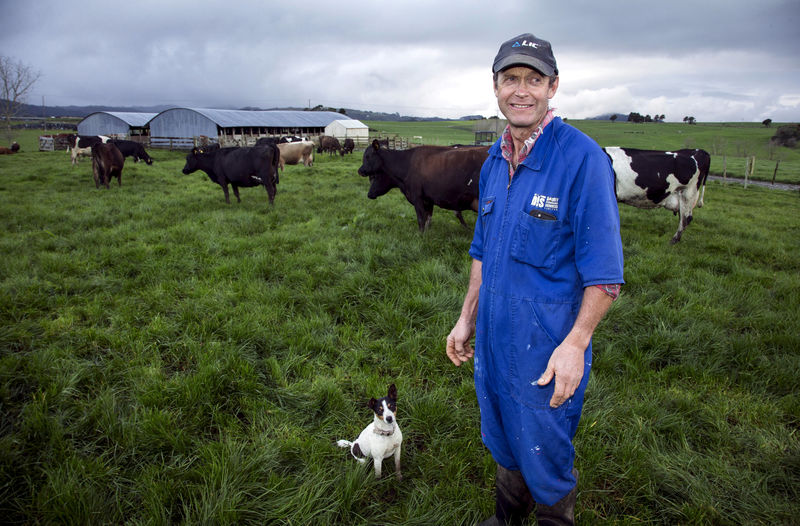 © Reuters. FILE PHOTO - Dairy farmer Keith Trotter stands in a field amongst his herd of cows on his farm in the town of Matakana, located north of Auckland, New Zealand