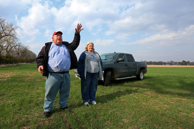 © Reuters. Art and Helen Tanderup talk about where the Keystone XL Pipeline will cut through the farm that has been in his wife, Helen's family for more than 100 years near Neligh