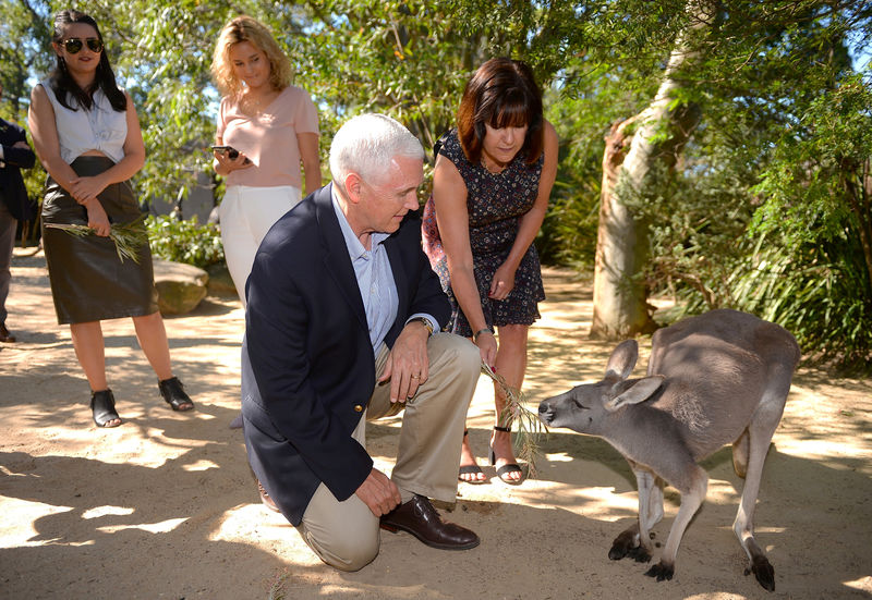 © Reuters. Pence looks at a kangaroo in Sydney