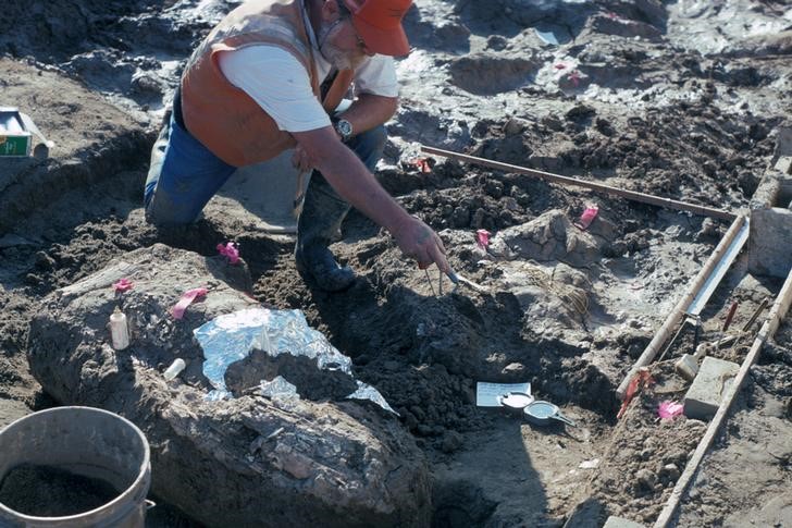 © Reuters. حفريات وأدوات حجرية قد تعيد كتابة تاريخ وجود الإنسان في الأمريكتين