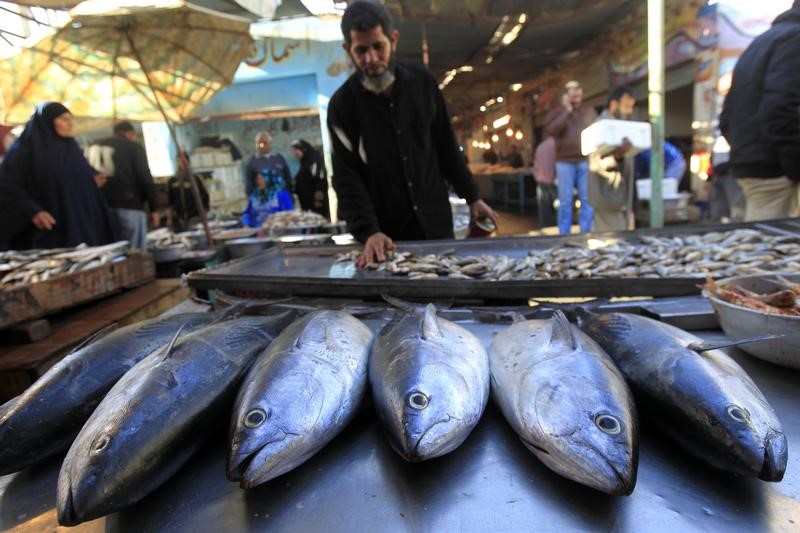 © Reuters. مصر تفرض رسوما على صادرات الأسماك لمدة 4 أشهر