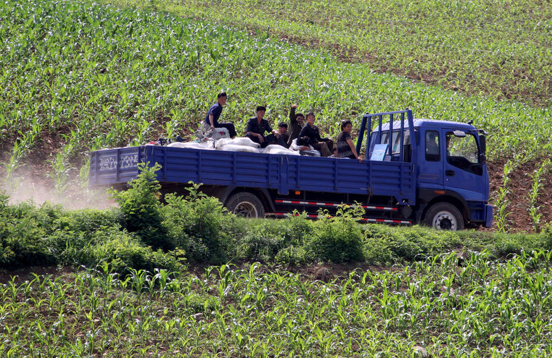 © Reuters. FILE PHOTO: North Koreans take a truck through a path amongst the fields, along the Yalu River, in Sakchu county