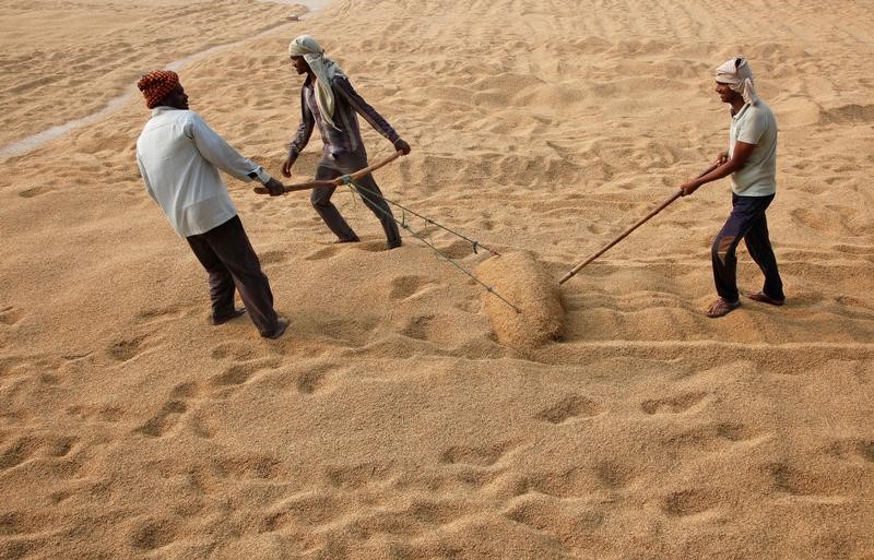 © Reuters. مصر توافق على التعاقد مع الهند لشراء 250 ألف طن من الأرز