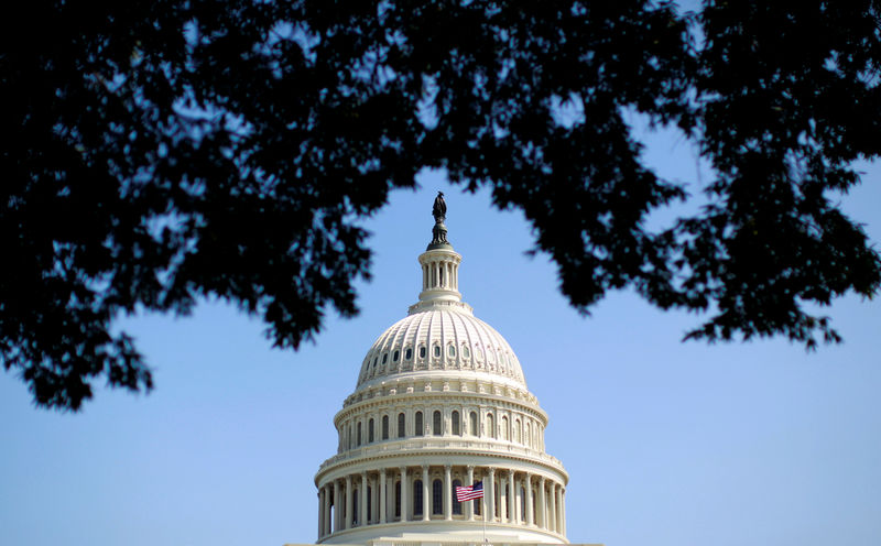 © Reuters. FILE PHOTO: The dome of the U.S. Capitol is seen in Washington