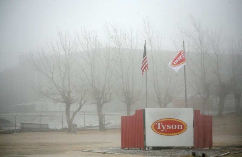 © Reuters. FILE PHOTO: Fog shrouds the Tyson slaughterhouse in Burbank, Washington