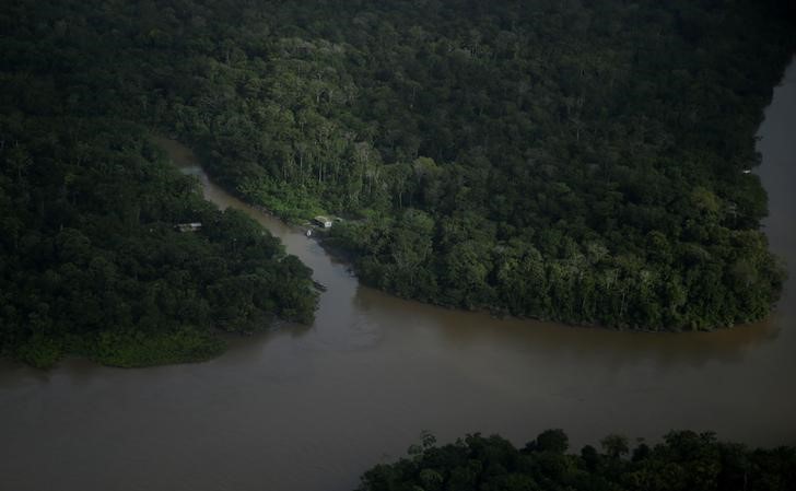 © Reuters. Uma casa entre rios, ao lado da foz do rio Amazonas na costa do Estado do Amapá, perto da cidade de Macapá