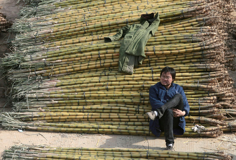 © Reuters. FILE PHOTO: A vendor waits for customers as he sells sugarcanes at an open-air market in Nanjing