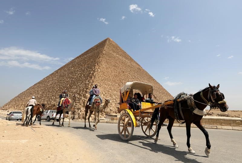 © Reuters. عدد السائحين الوافدين إلى مصر يقفز 51% في الربع/1
