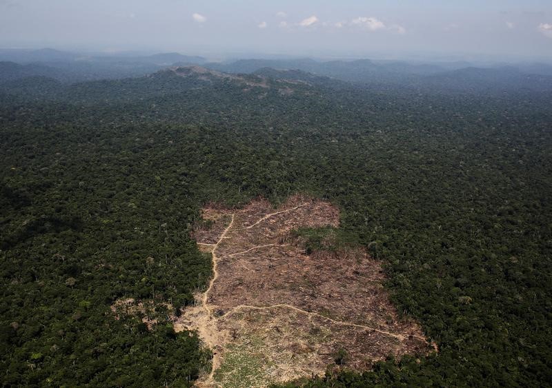 © Reuters. TOTAL: GREENPEACE ÉPINGLE UN PROJET À L'EMBOUCHURE DE L'AMAZONE