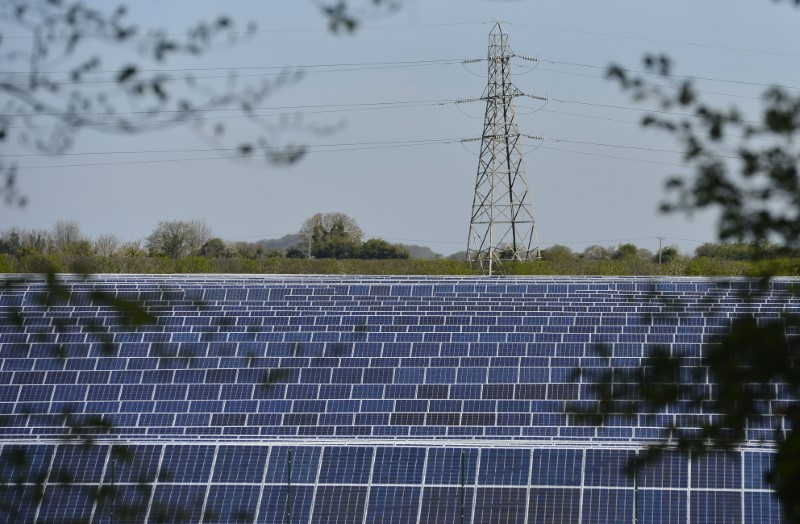 © Reuters. Solar panels are seen in fields near Andover in southern England