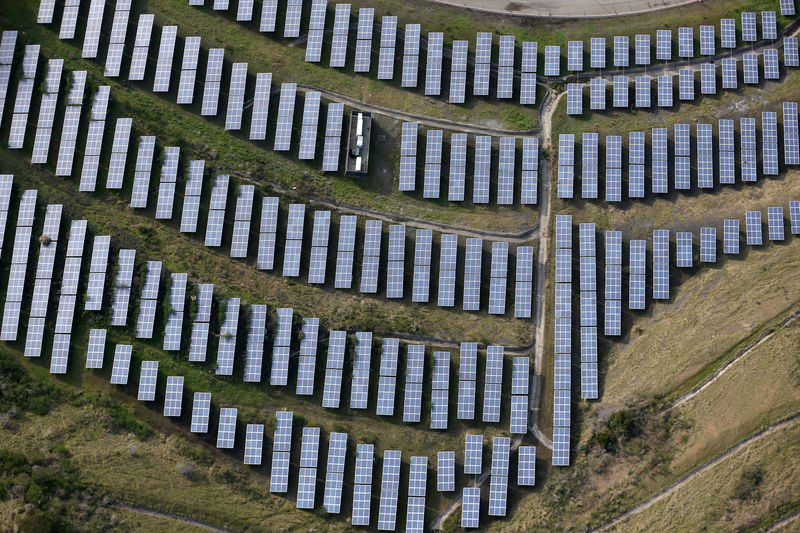 © Reuters. FILE PHOTO - An array of solar panels in Oakland California