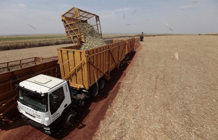 © Reuters. Caminhão carregado de cana-de-açúcar em fazenda de São Paulo