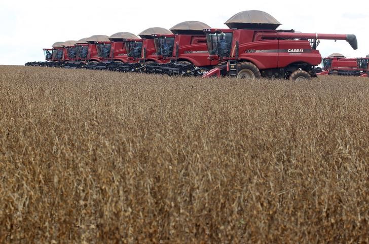 © Reuters. Colheita de grãos de soja em fazenda em Cuiabá