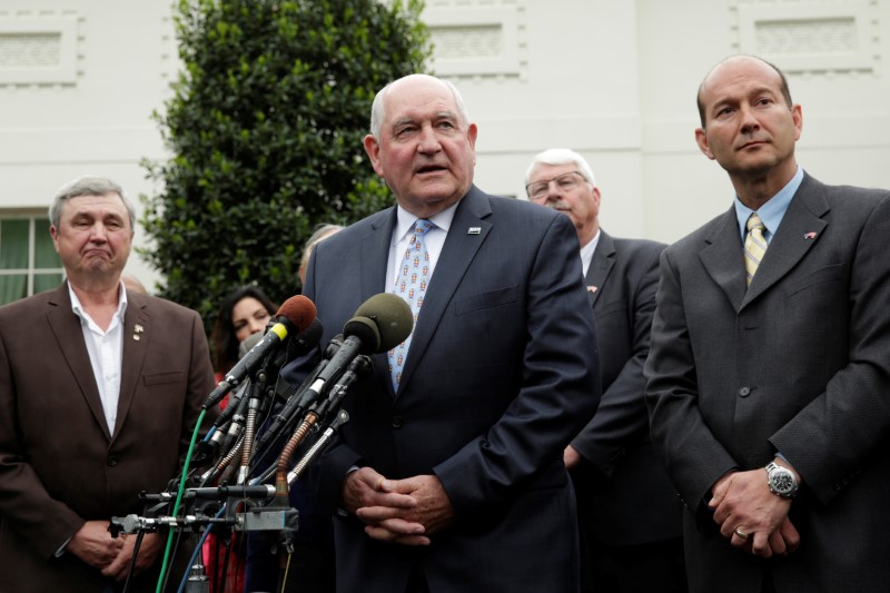 © Reuters. U.S. Secretary of Agriculture Sonny Perdue talks to the media after U.S. President Donald Trump's roundtable discussion with farmers at the White House in Washington