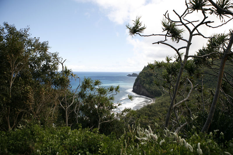 © Reuters. FILE PHOTO: A view of the black sand beach at Polulu Valley on the Kohala Coast on the big island of Hawaii