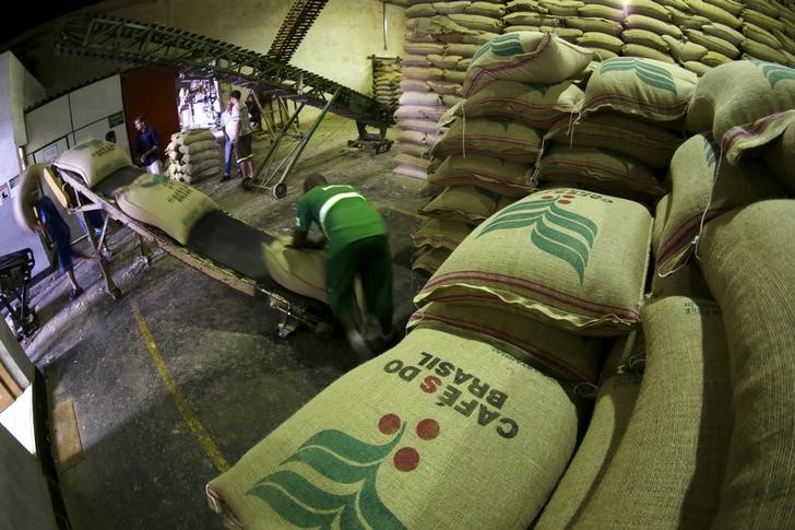 © Reuters. Trabalhador coloca sacas de café para exportação em esteira em armazém de café em Santos, no Brasil