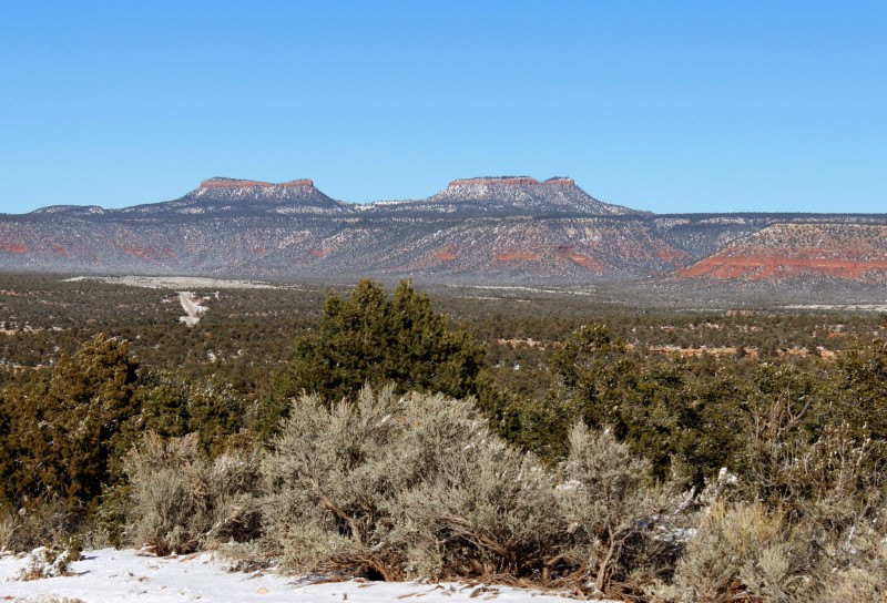 © Reuters. Bears Ears, the twin rock formations in Utah’s Four Corners region is pictured in Utah