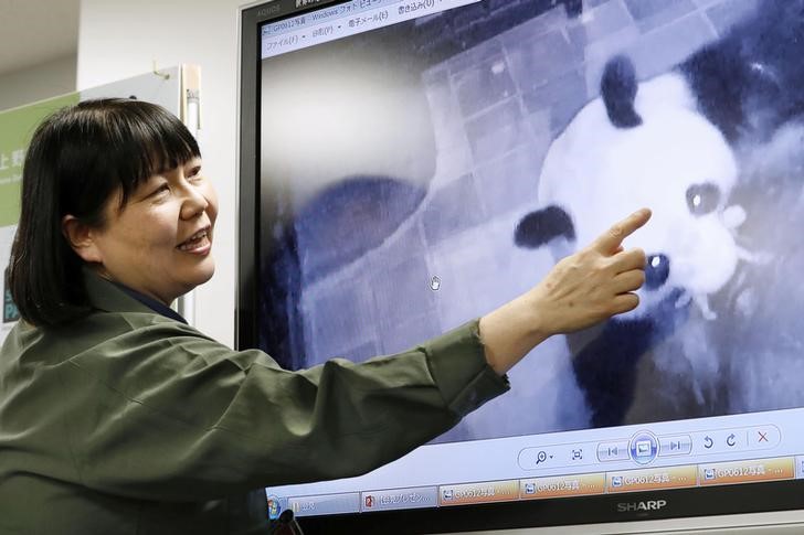 © Reuters. Funcionária de zoológico japonês Ueno Zoo aponta para imagem de panda Shin Shin carregando filhote recém-nascido na boca