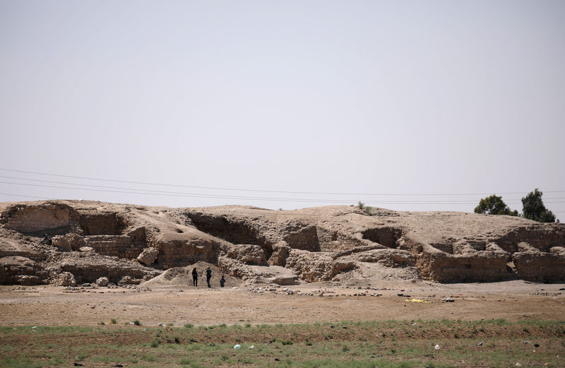 © Reuters. A general view shows the 1,000-year-old Harqalah fortress ruin, west of Raqqa