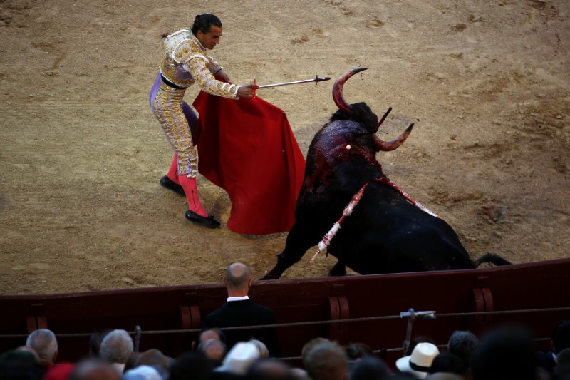 © Reuters. Spanish bullfighter Ivan Fandino performs after drives a sword into a bull to kill in Madrid