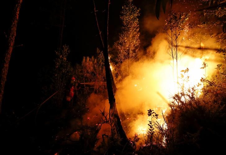 © Reuters. حرائق الغابات تقتل 43 في البرتغال
