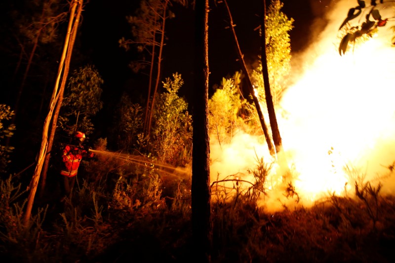 © Reuters. Firefighters work to put out a forest fire near Bouca in central Portugal