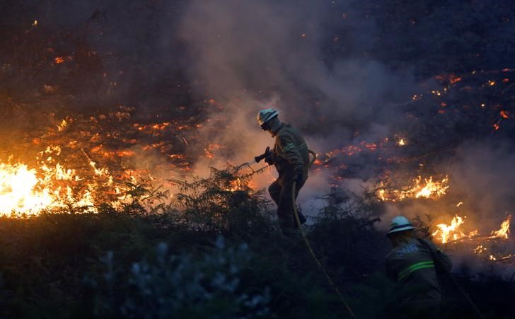 © Reuters. UN FRANÇAIS PARMI LES 62 VICTIMES DU FEU DE FORÊT AU PORTUGAL