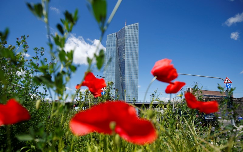 © Reuters. The headquarters of the European Central Bank (ECB) are pictured during protest training organised by "NoG20 Rhein-Main" in Frankfurt