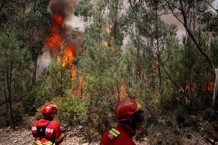 © Reuters. Bombeiros tentam conter fogo em Carvalho