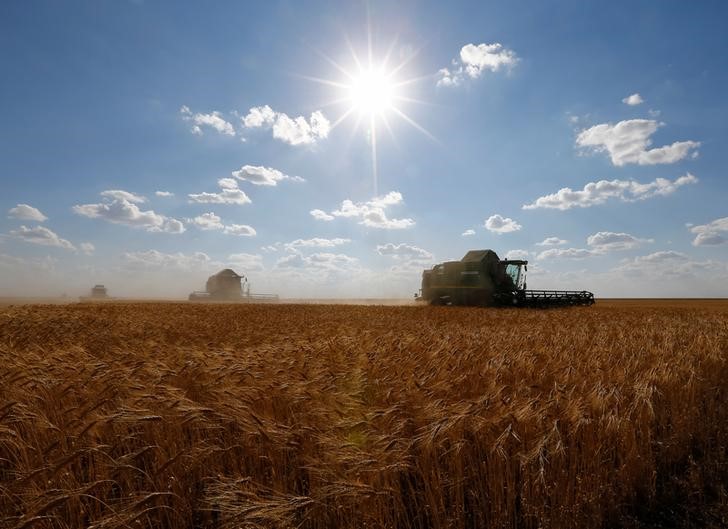 © Reuters. John Deere combines harvest wheat in a field of the Oktyabrskoe farming company in Akmola region, Kazakhstan