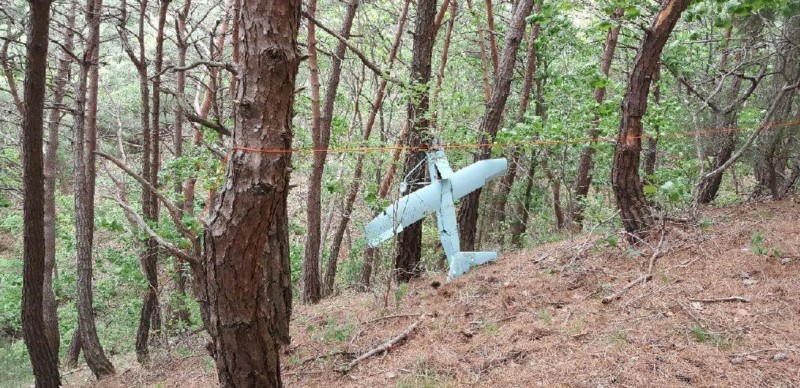 © Reuters. A small aircraft what South Korea's Military said is believed to be a North Korean drone, is seen at a mountain near the demilitarized zone separating the two Koreas in Inje