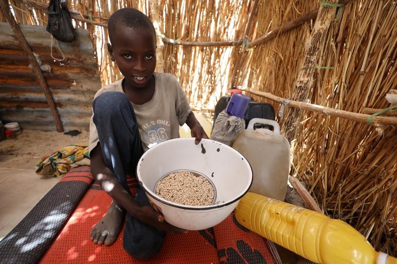 © Reuters. مفوضية اللاجئين: عودة اللاجئين النيجيريين قد تسبب أزمة جديدة