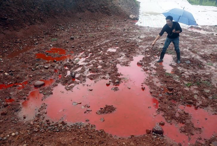 © Reuters. وزارة البيئة: على الصين التحلي بالصبر في حربها على تلوث التربة