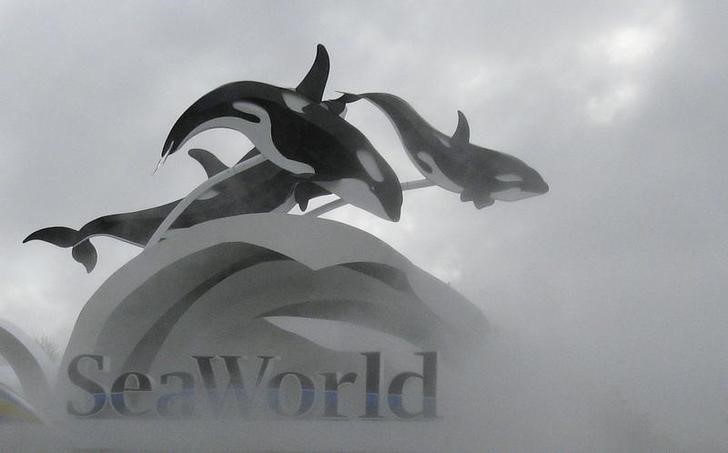 © Reuters. The SeaWorld amusement park is pictured in Orlando