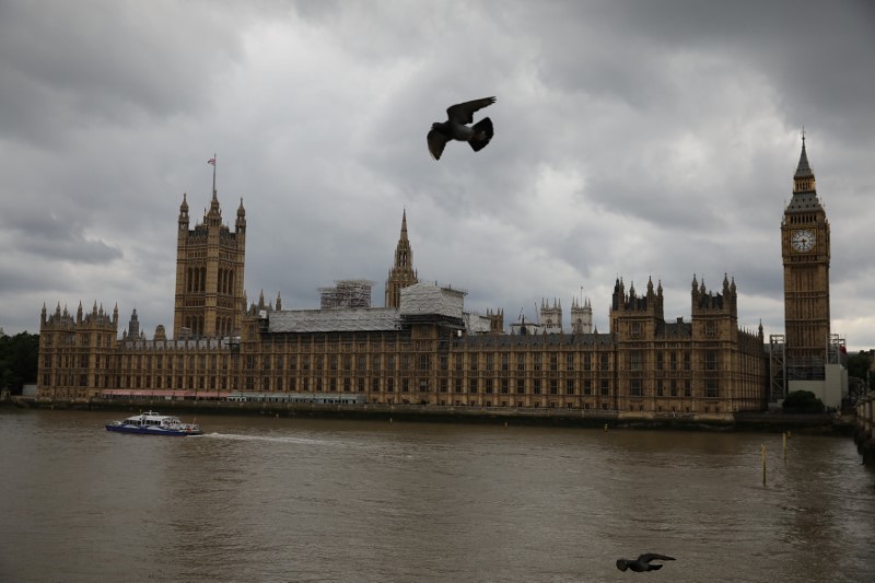 © Reuters. Birds fly past the Houses of Parliament, in central, London