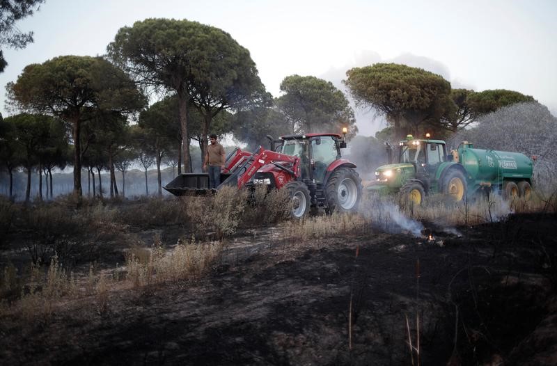 © Reuters. Un incendio cerca de Doñana obliga a desalojar a más de 1.500 personas