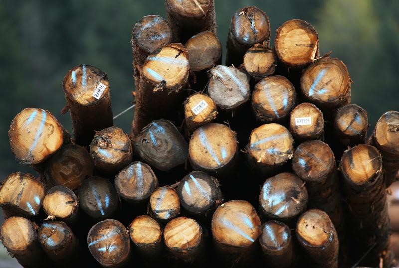 © Reuters. A pile of logs is pictured in Squamish,