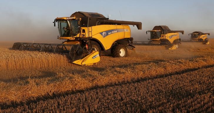 © Reuters. Комбайны убирают пшеницу на поле недалеко от Красноярска