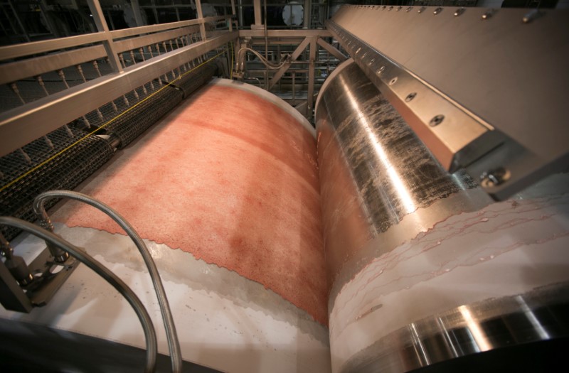 © Reuters. FILE PHOTO: Lean, finely textured beef (LFTB) is produced at the Beef Products Inc (BPI) facility in South Sioux City