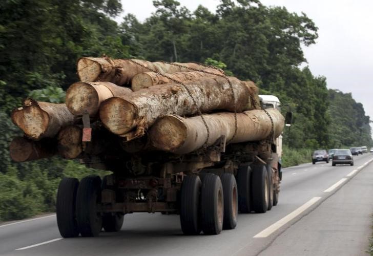 © Reuters. الجابون تتفق مع مانحين لحماية الغابات بحوض الكونجو