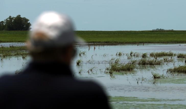 © Reuters. Produtor olha para sua plantação de soja alagada perto de Pergamino, na Argentina