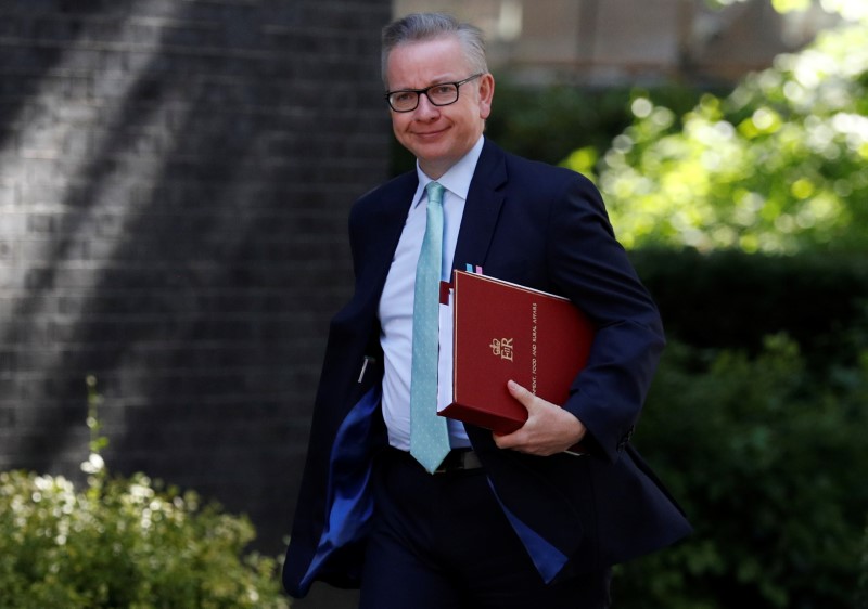 © Reuters. FILE PHOTO: Michael Gove, Secretary of State for the Environment, arrives in Downing Street for a cabinet meeting, in central London