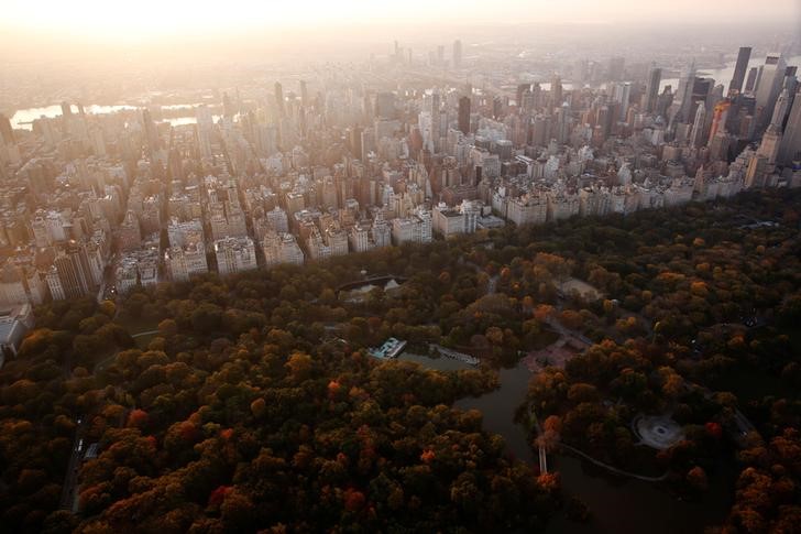 © Reuters. The rising sun lights trees in Central Park above the southern portion of the Manhattan borough of New York